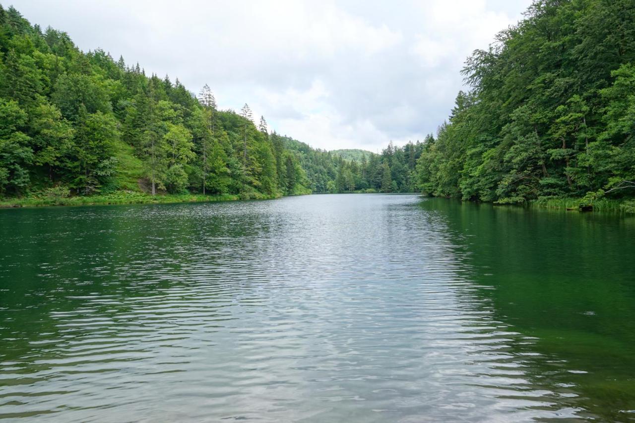 Plitvice Cottage Iggy พลิตวิชกา เยเซรา ภายนอก รูปภาพ
